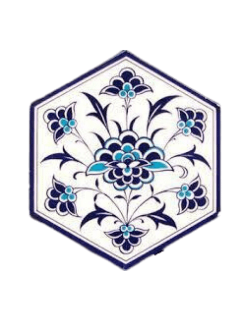 Altıgen Seramik Karo - 61, Desenli Altıgen Karo Mekan Seramikleri